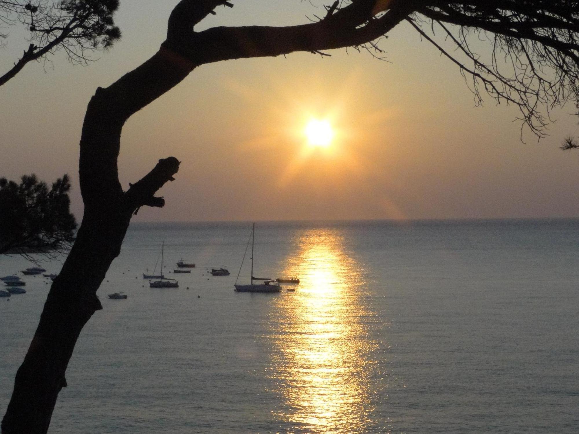 Hotel La Torre Calella De Palafrugell Dış mekan fotoğraf